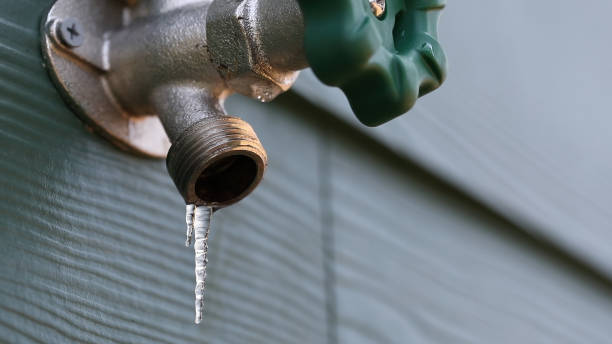 Best Local Plumber Services  in Southchase, FL